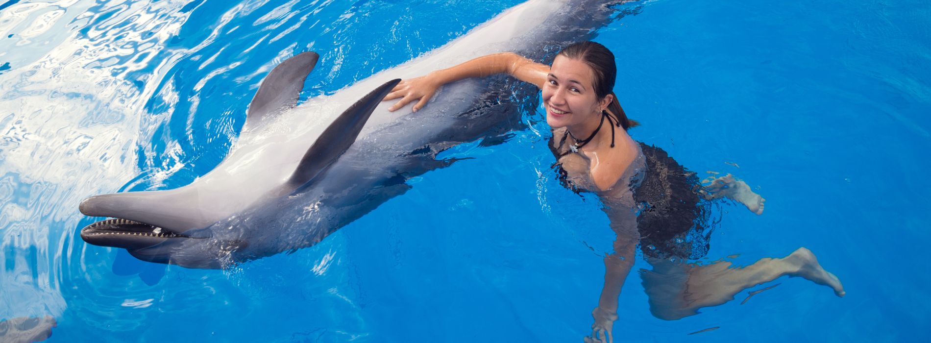 Swim with dolphins islamorada - Madeinsea©