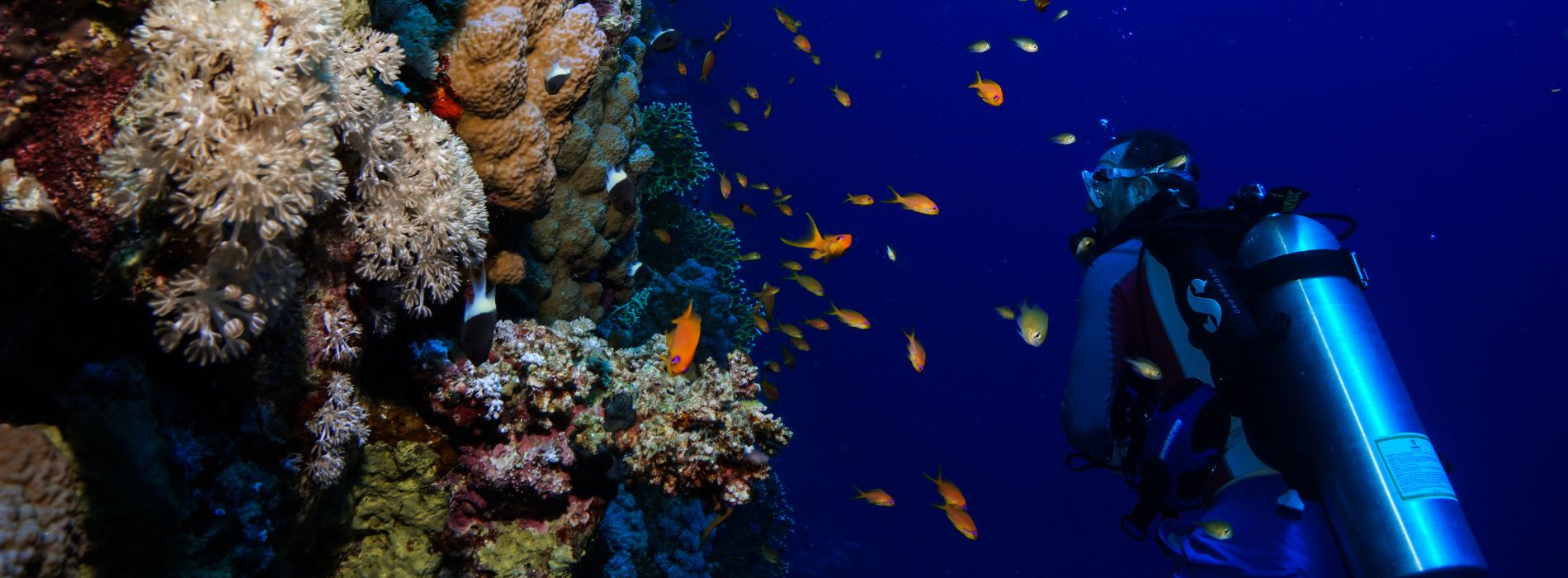 best places to scuba dive in indonesia - Madeinsea©