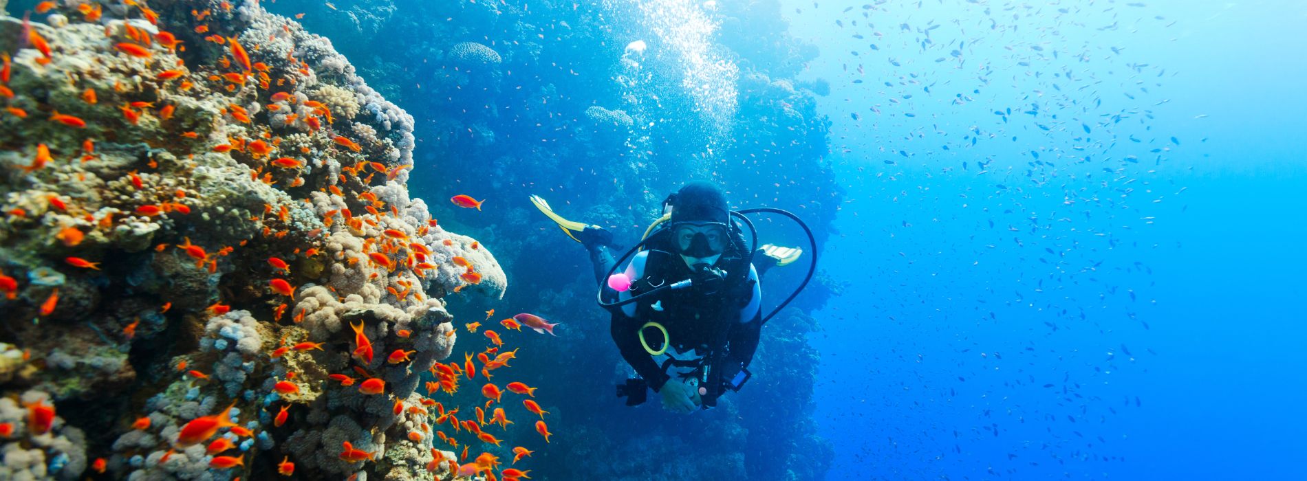 best place to scuba dive in dominican republic - Madeinsea©