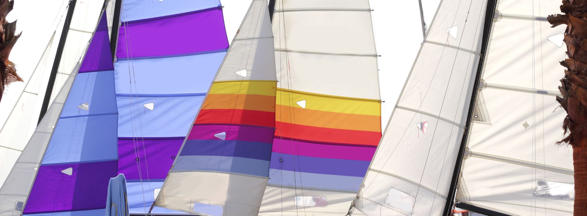 How to hobie cat sail? - Madeinsea©