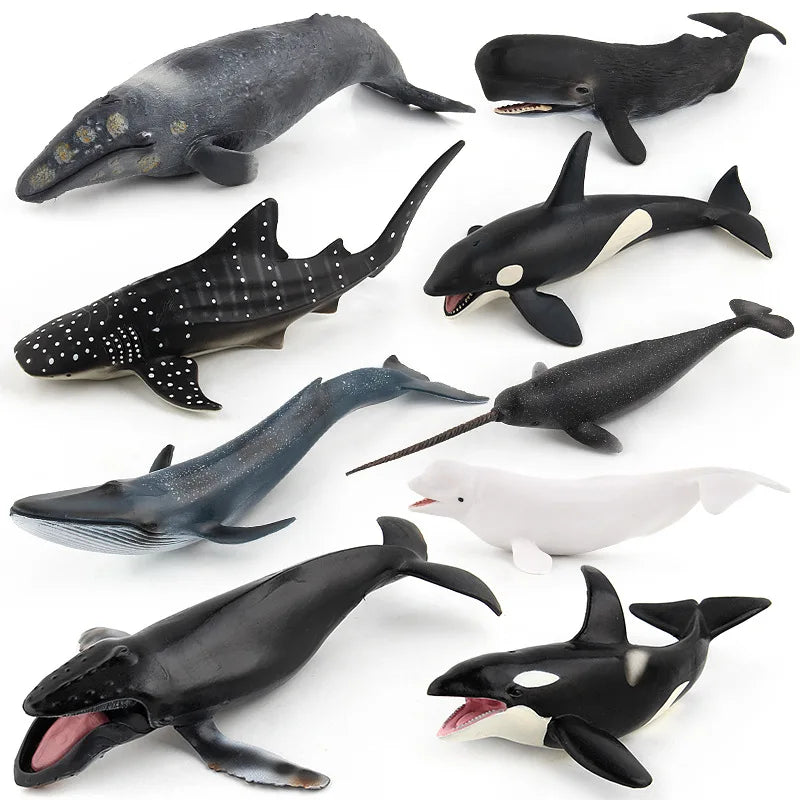 20-28CM NEW Simulated SEA life animal Blue whale shark Narwhal beluga sperm whale Action Figure Toys Gift Model Kids