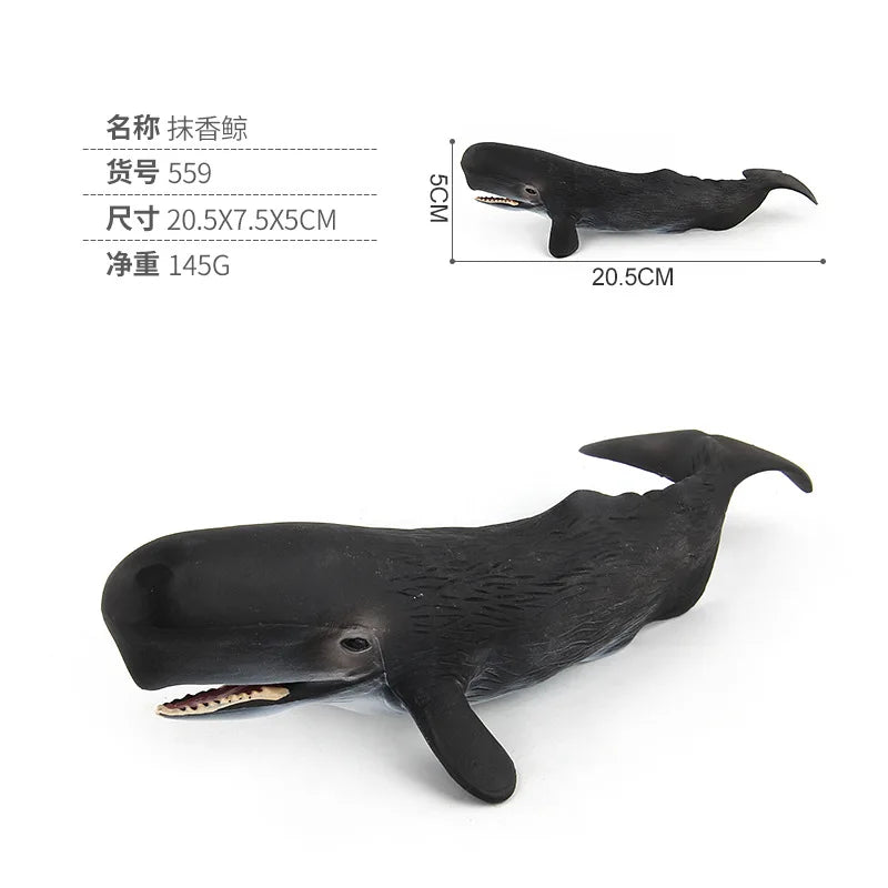 20-28CM NEW Simulated SEA life animal Blue whale shark Narwhal beluga sperm whale Action Figure Toys Gift Model Kids