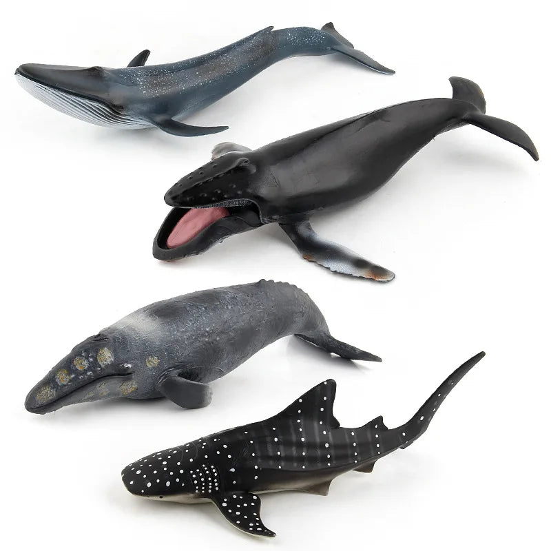 20-28CM NEW Simulated SEA life animal Blue whale shark Narwhal beluga sperm whale Action Figure Toys Gift Model Kids