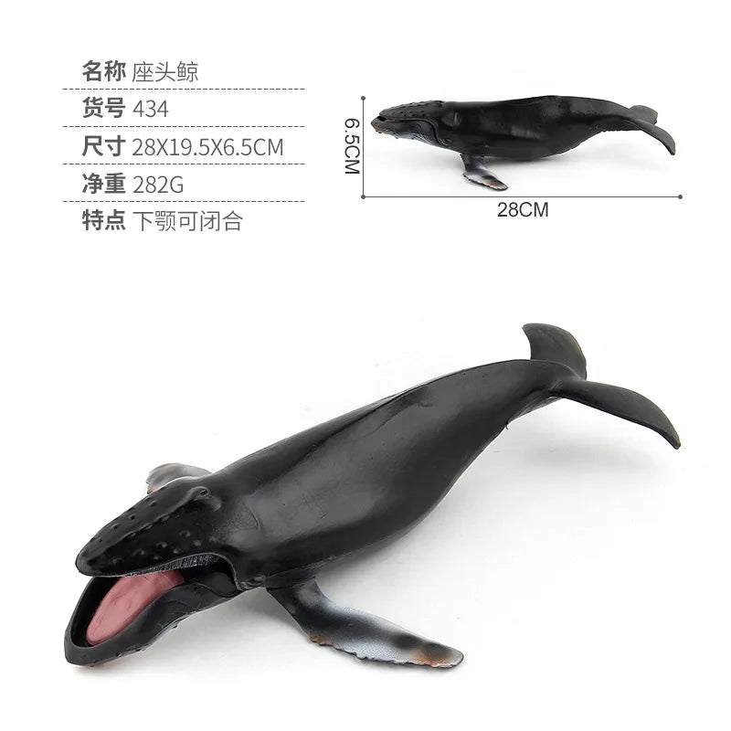 20-28CM NEW Simulated SEA life animal Blue whale shark Narwhal beluga sperm whale Action Figure Toys Gift Model Kids