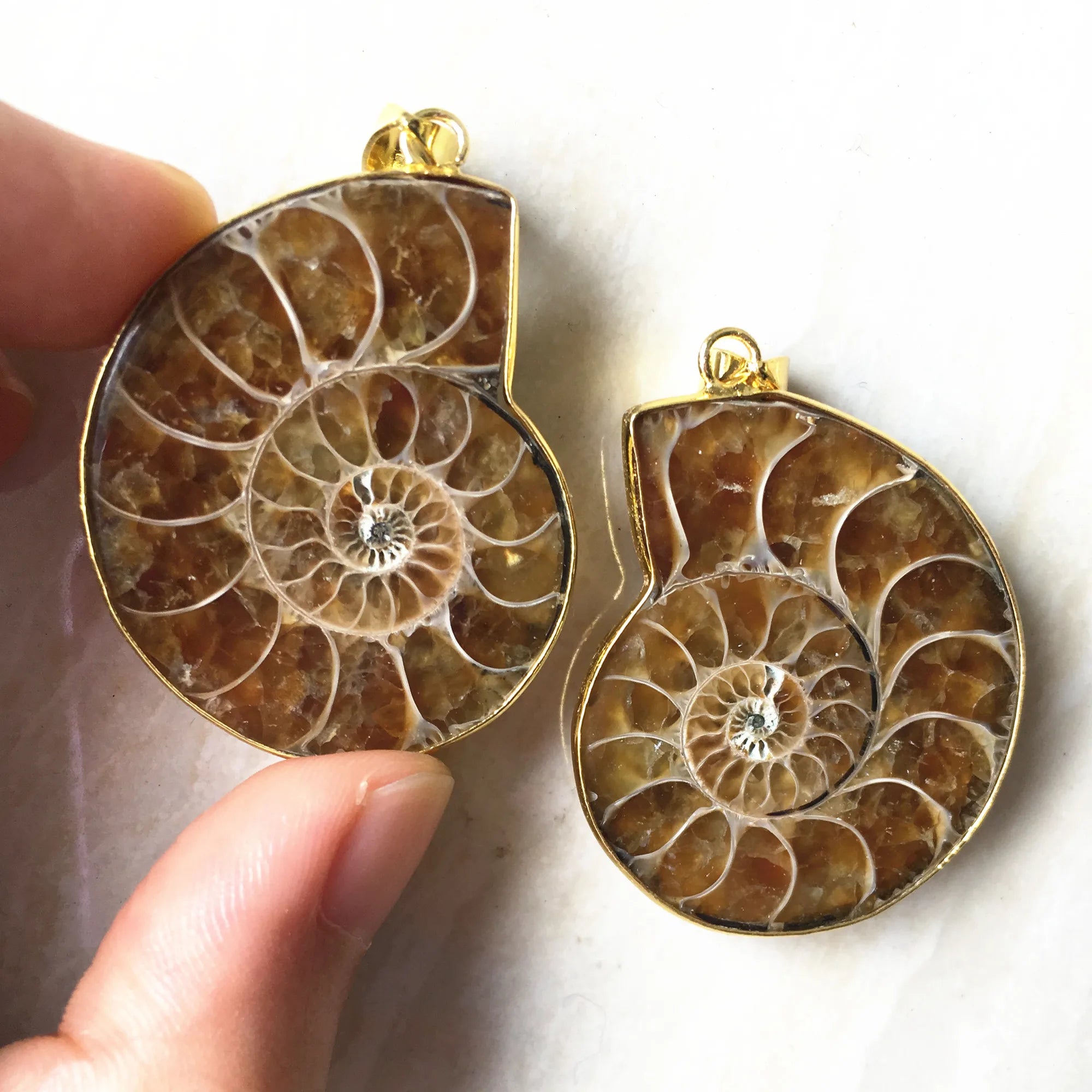 Gold Plated Natural Real Fossilized Ammonite Pendant Necklace 35-40mm