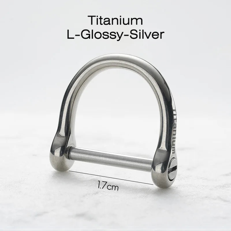 Luxury Titanium Car Keyring Horseshoe Buckle Lightweight Baked Color Keychain for Key Ring Holder EDC Tool Top Quality Best Gift