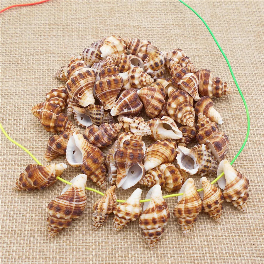 10 Stück natürliche Muschelperlen mit Loch, Muschel, lose Abstandsperlen zur Herstellung von Halsketten und Armbändern