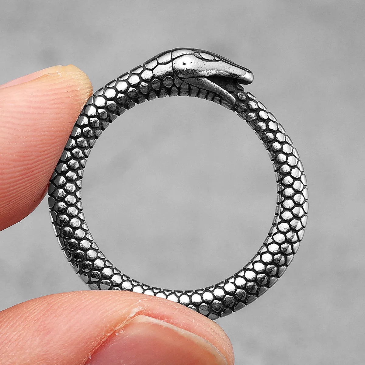 Snake Ouroboros Stainless Steel Rings