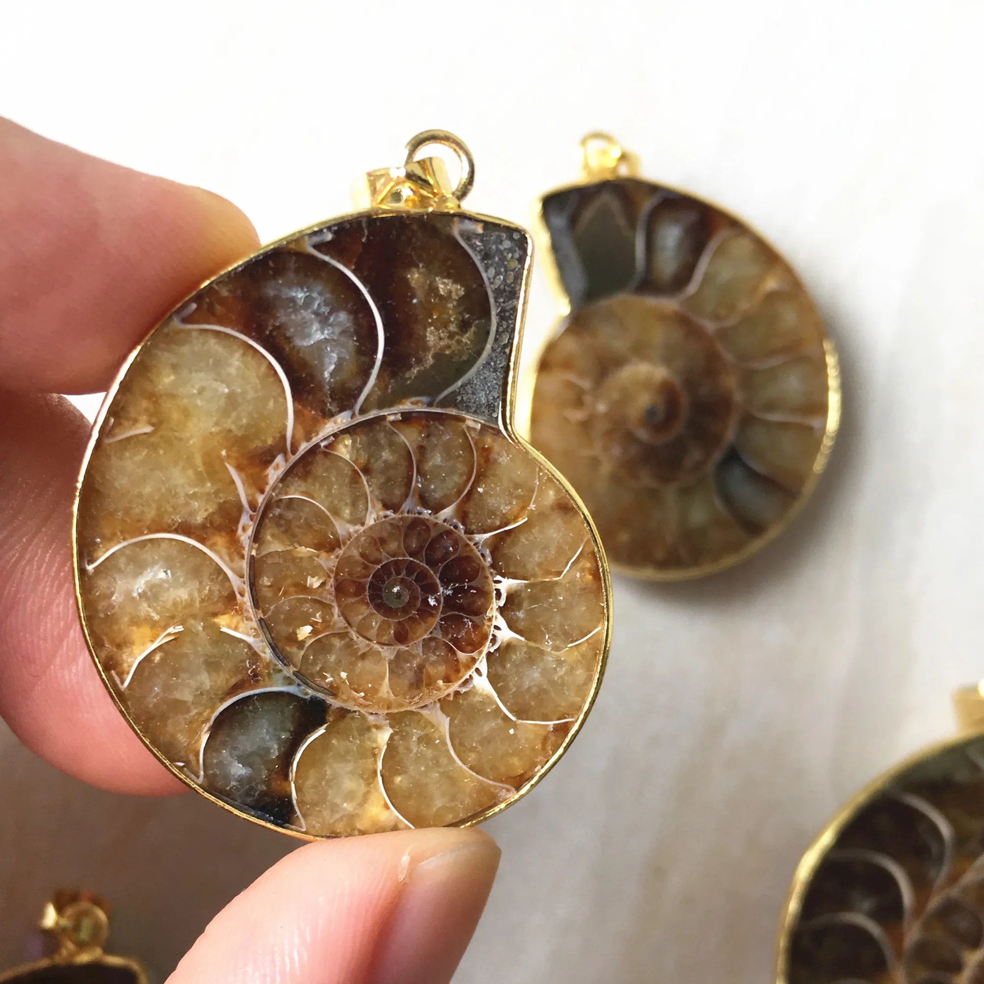 Gold Plated Natural Real Fossilized Ammonite Pendant Necklace 35-40mm