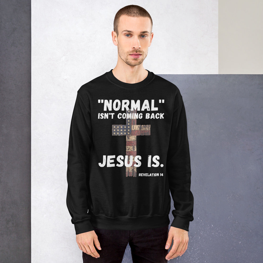 Normal Isnt Coming Back Jesus Is Sweatshirt, Bibelvers Offenbarung 14 Sweatshirt, christliches Shirt, religiöse Geschenke, christlicher Jesus Sweatshirt