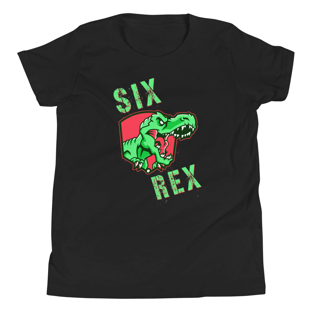 SIX Rex, 6th Birthday Boy, 6th Birthday Shirt Boy, Dinosaur Birthday Shirt, TRex Shirt, 6th dinosaur birthday, T-rex birthday party tee - Madeinsea©